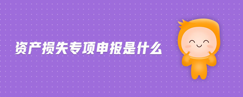 資產(chǎn)損失專項申報是什么