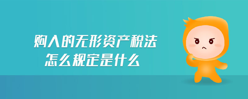 購入的無形資產(chǎn)稅法怎么規(guī)定是什么