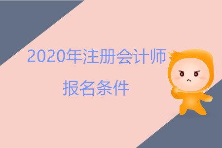 注會考試報名條件公布了嗎？考試舉辦時間詳情是什么？