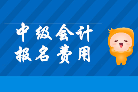 中級(jí)會(huì)計(jì)師考試報(bào)名費(fèi)用山東2020年是多少？