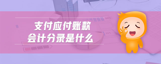 支付應(yīng)付賬款會計分錄是什么