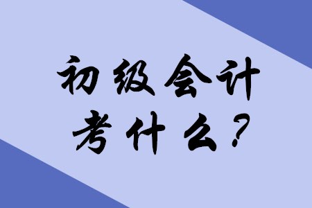 2020年初級會計(jì)職稱考試主要考什么內(nèi)容？