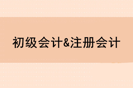 初級(jí)會(huì)計(jì)師和注冊(cè)會(huì)計(jì)師有哪些區(qū)別？