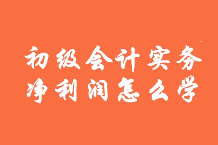 初級(jí)會(huì)計(jì)實(shí)務(wù)中凈利潤(rùn)該怎么學(xué)？