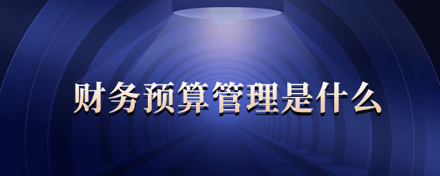 財(cái)務(wù)預(yù)算管理是什么