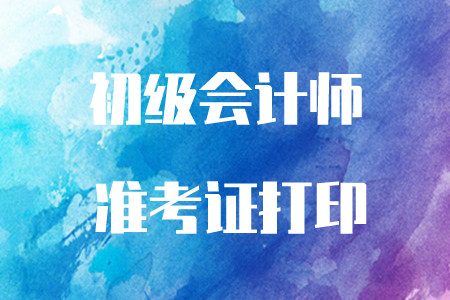 初級(jí)會(huì)計(jì)職稱考試準(zhǔn)考證現(xiàn)在可以打印了嗎？
