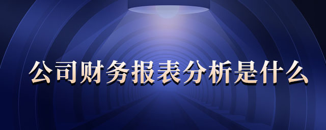 公司財務(wù)報表分析是什么