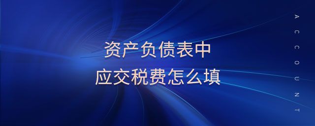 資產(chǎn)負(fù)債表中應(yīng)交稅費(fèi)怎么填