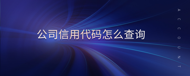 公司信用代碼怎么查詢(xún)
