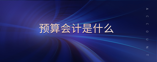 預(yù)算會(huì)計(jì)是什么