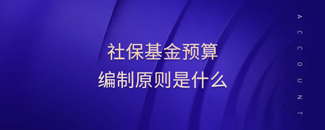 社?；痤A(yù)算編制原則是什么