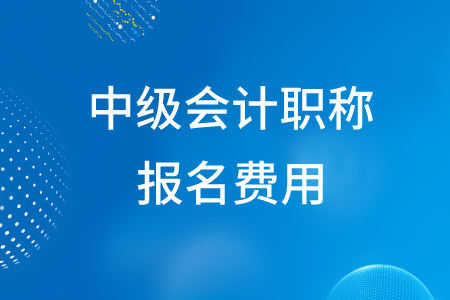 2020年湖北中級會計(jì)職稱報(bào)名費(fèi)為多少元？