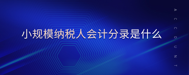 小規(guī)模納稅人會計分錄是什么