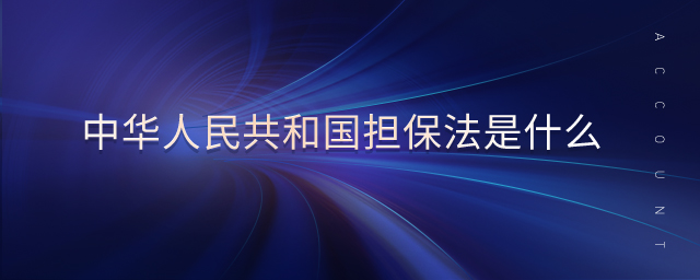中華人民共和國擔(dān)保法是什么