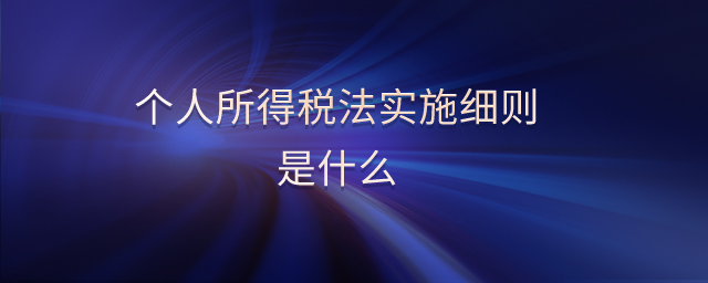 個人所得稅法實施細則是什么