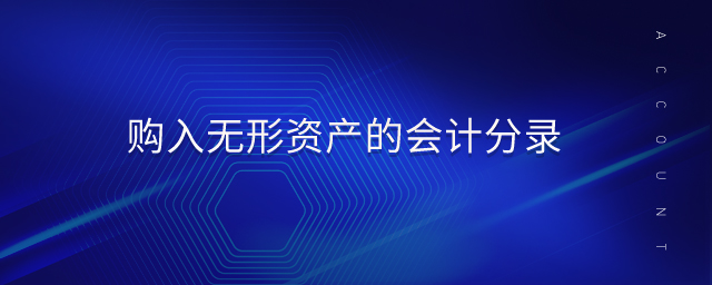 購入無形資產(chǎn)的會計分錄