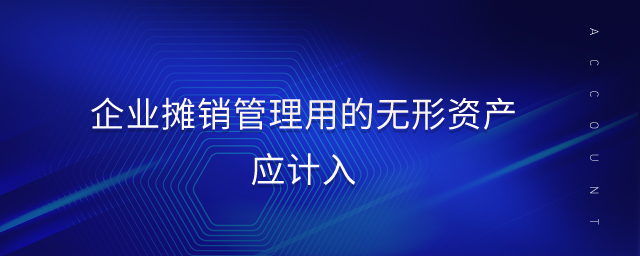企業(yè)攤銷管理用的無形資產(chǎn)應(yīng)計(jì)入