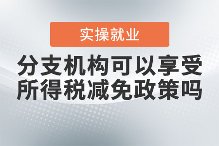 分支機構(gòu)可以享受企業(yè)所得稅減免政策嗎？
