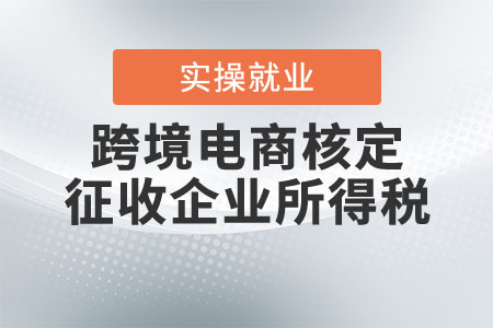 跨境電商如何才能試行核定征收企業(yè)所得稅？