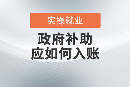 政府補(bǔ)助應(yīng)如何入賬？