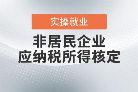 非居民企業(yè)應(yīng)納稅所得如何核定？