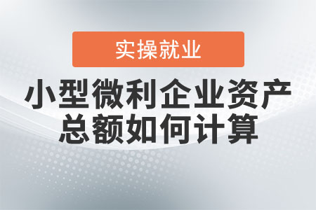 小型微利企業(yè)資產(chǎn)總額如何計(jì)算？