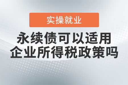 永續(xù)債可以適用企業(yè)所得稅政策嗎？