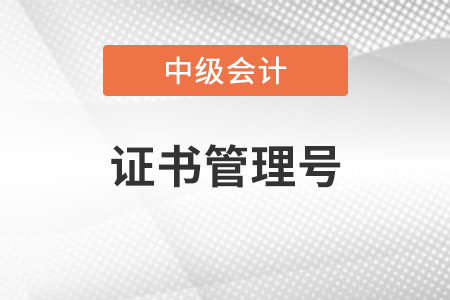 中級會(huì)計(jì)證書管理號是證書編號嗎？