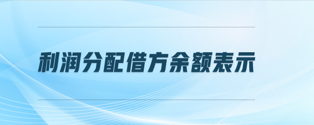 利潤(rùn)分配借方余額表示