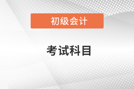 2020年初級會計(jì)考試科目