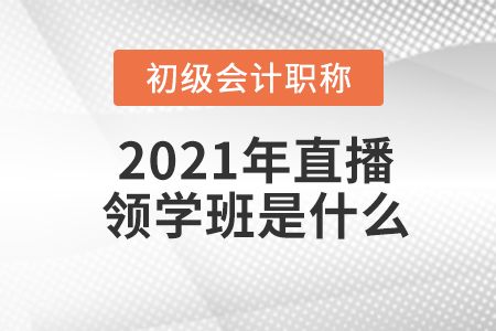 2021年初級會計職稱直播領(lǐng)學(xué)班是什么