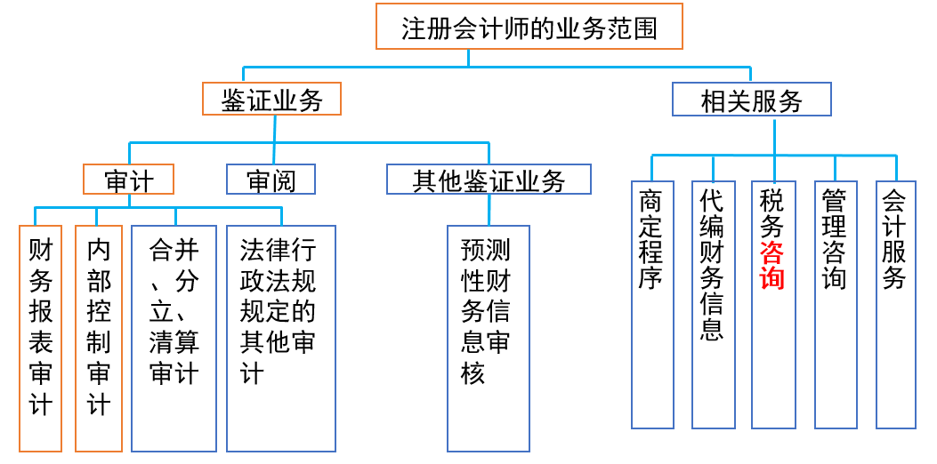 注冊(cè)會(huì)計(jì)師的專業(yè)服務(wù)