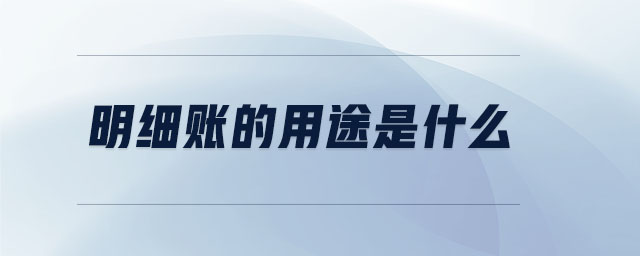 明細(xì)賬的用途是什么