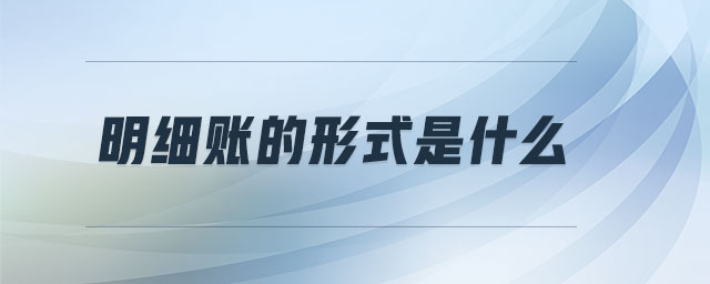 明細賬的形式是什么
