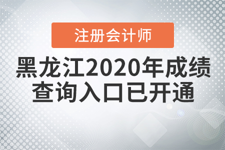 黑龍江2020年注冊會計師成績查詢?nèi)肟谝验_通
