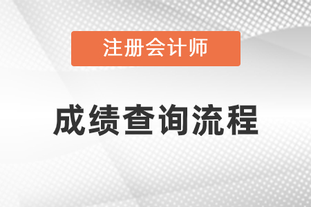 2020年注冊(cè)會(huì)計(jì)師成績(jī)查詢方法是什么