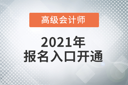 高級(jí)會(huì)計(jì)師報(bào)名入口2022年在哪里？