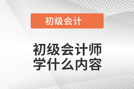 初級會計師學什么內(nèi)容