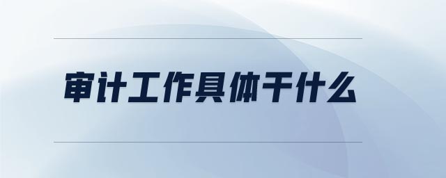 審計(jì)工作具體干什么