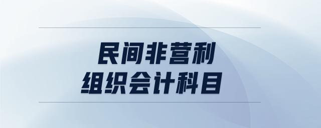 民間非營利組織會計科目