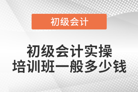 初級(jí)會(huì)計(jì)實(shí)操培訓(xùn)班一般多少錢(qián)