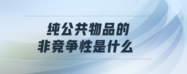 純公共物品的非競(jìng)爭(zhēng)性是什么