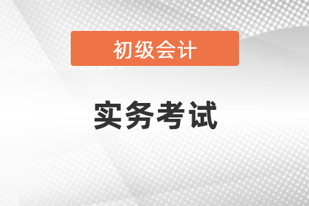2021年初級會計(jì)實(shí)務(wù)考試