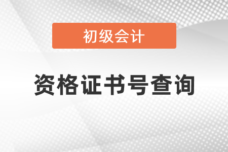 初級(jí)會(huì)計(jì)證資格證書(shū)號(hào)查詢(xún)方法