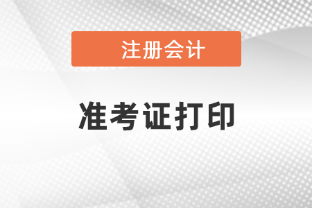 2021年北京市昌平區(qū)CPA考試準(zhǔn)考證要怎么打印