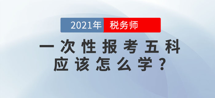 備考稅務(wù)師考試，想要一次性報(bào)考五科應(yīng)該怎么學(xué)？