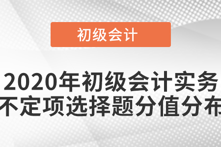2020年初級(jí)會(huì)計(jì)實(shí)務(wù)不定項(xiàng)選擇題分值分布