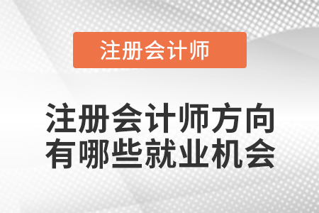 注冊會(huì)計(jì)師方向有哪些就業(yè)機(jī)會(huì)
