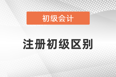 注冊(cè)會(huì)計(jì)師和初級(jí)會(huì)計(jì)師的區(qū)別是什么？