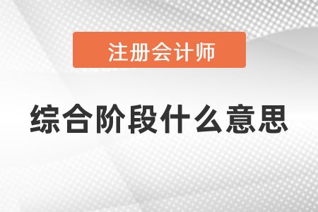 注會綜合階段什么意思？